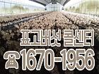 [축소][보도자료]-사진_1670-1956-표고버섯-콜센터-운영.jpg 대표 게시물 이미지 입니다.