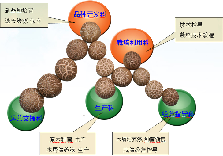 组 织